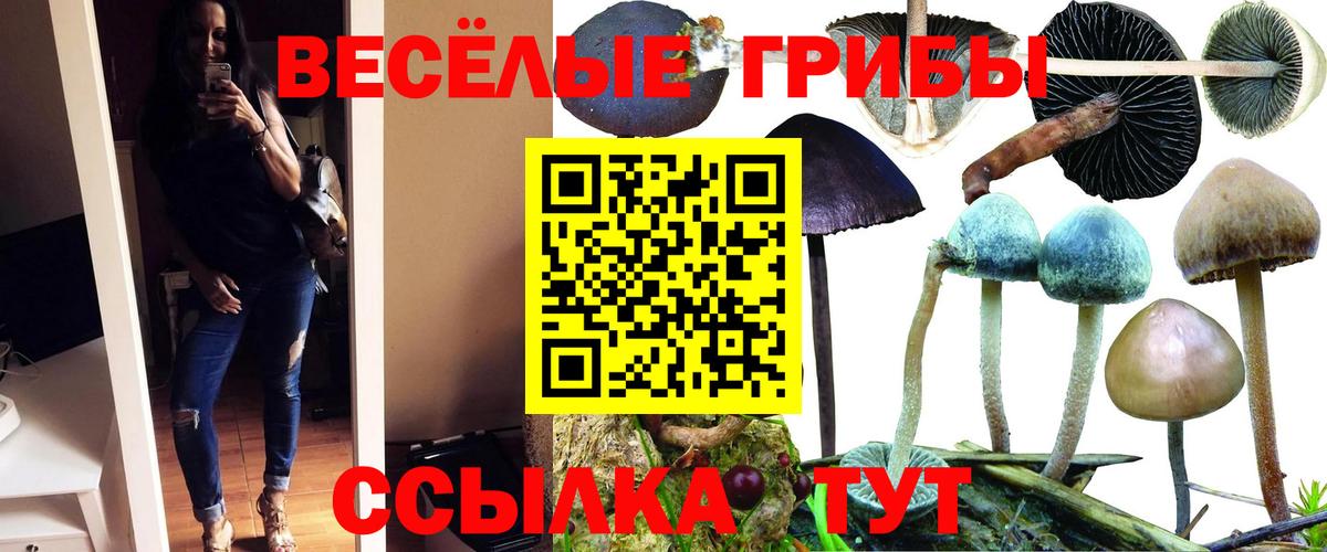 Псилоцибиновые грибы Psilocybe Лянтор