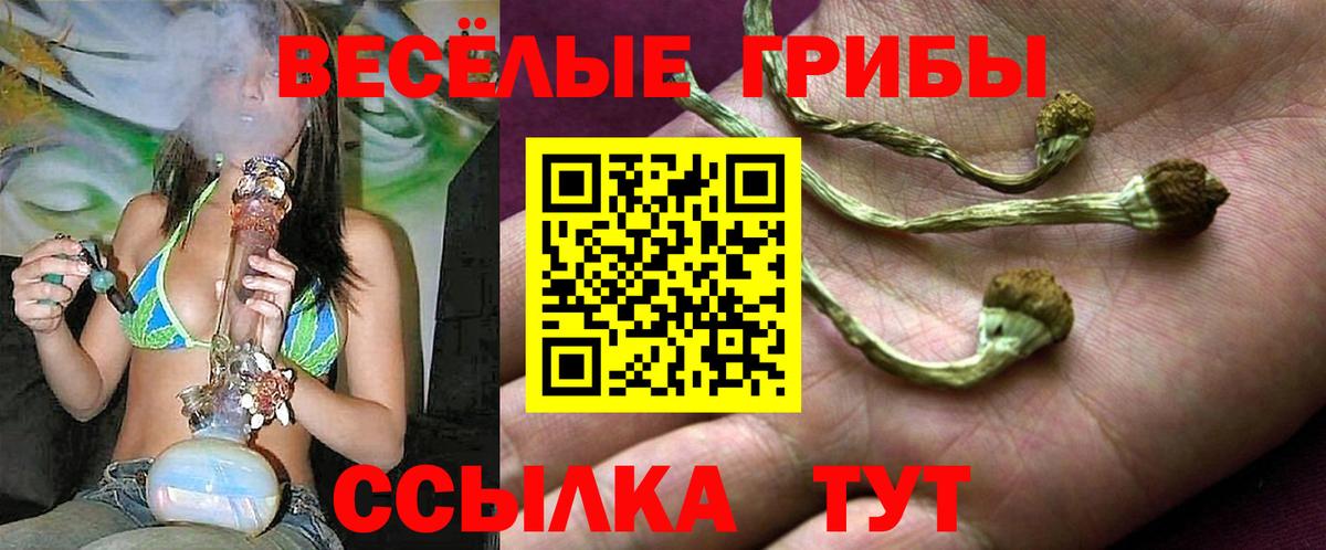 Псилоцибиновые грибы Psilocybine cubensis  Вход с VPN  как найти закладки  Лянтор  Галлюциногенные грибы Magic Shrooms 